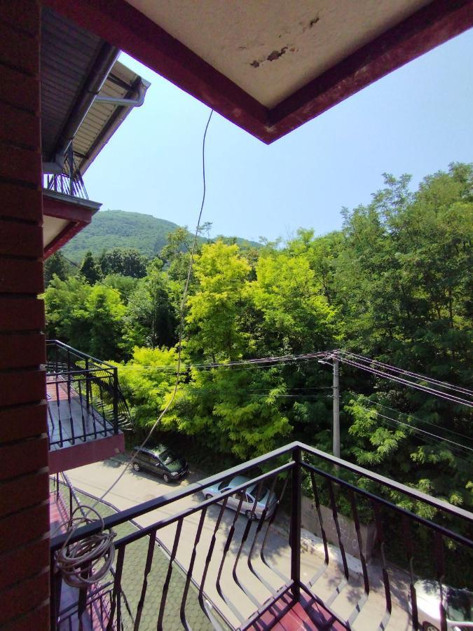 Vila Marko Нишка Баня Екстериор снимка