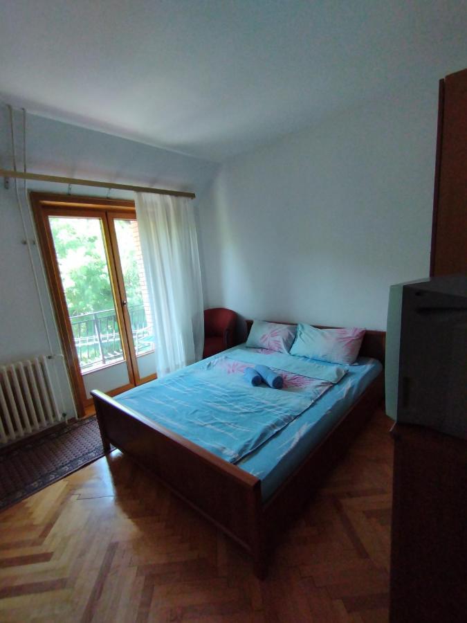Vila Marko Нишка Баня Екстериор снимка