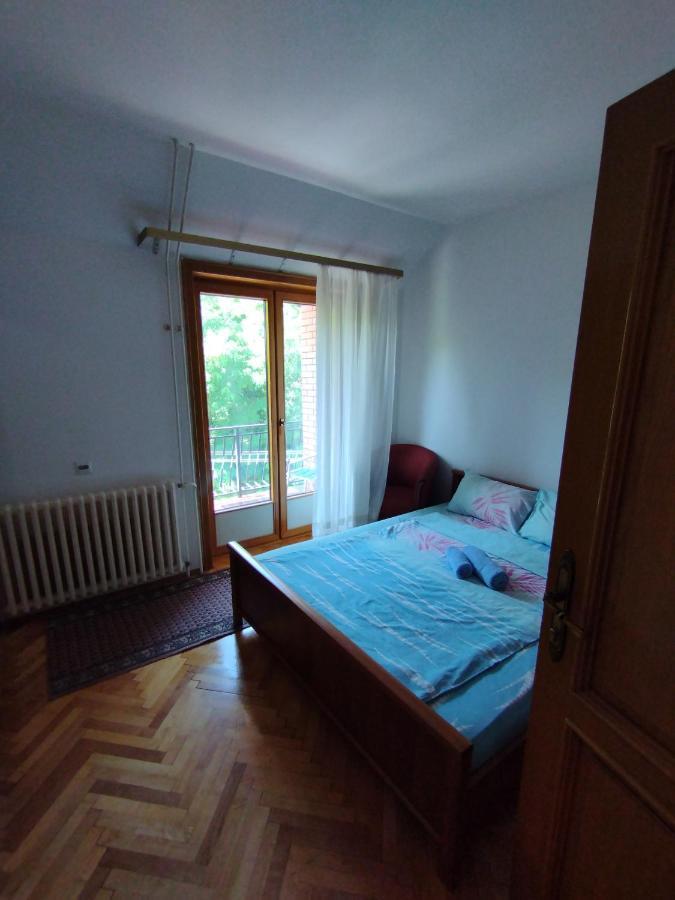 Vila Marko Нишка Баня Екстериор снимка